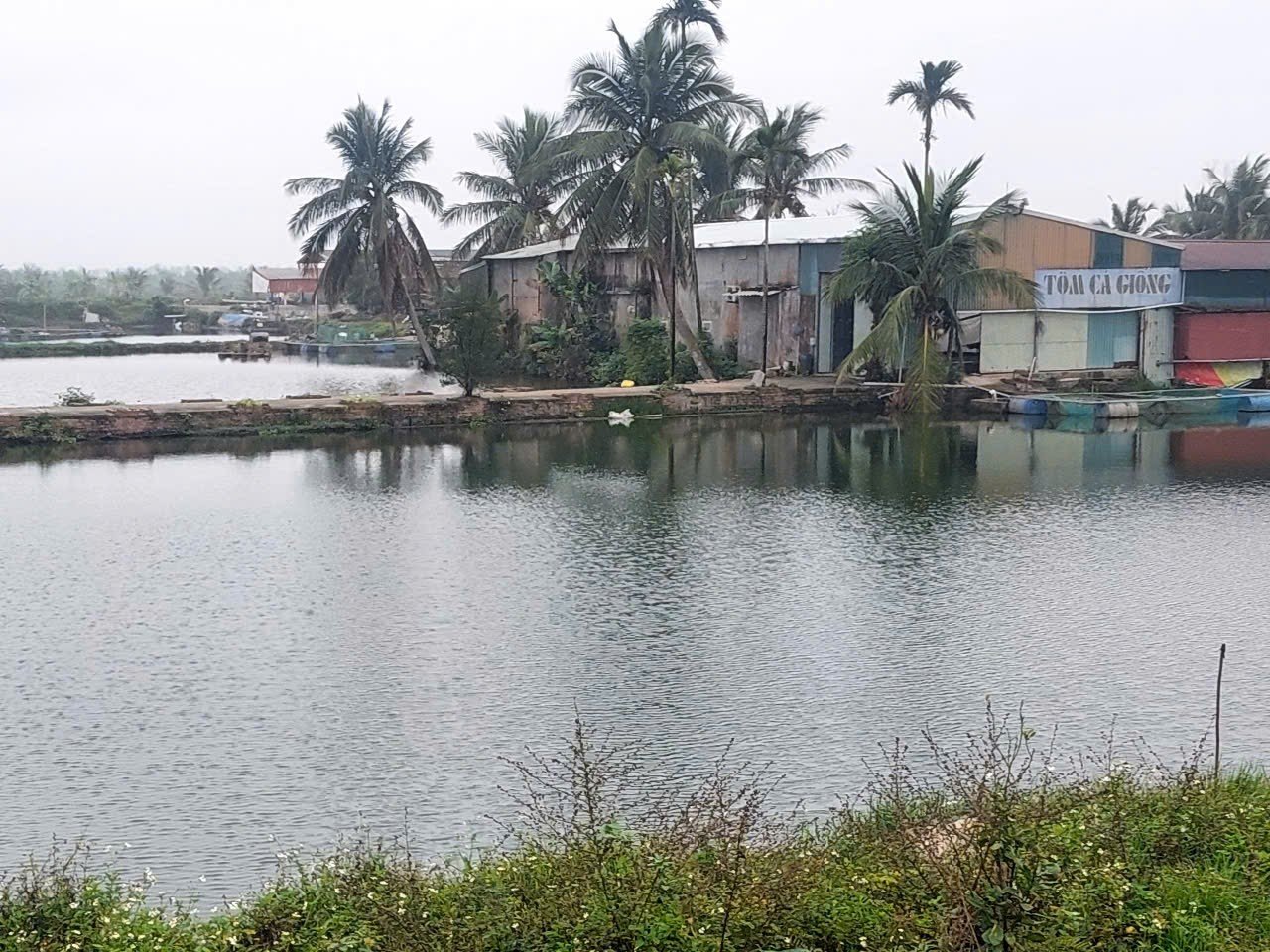 Nông dân Hải Phòng tu sửa ao nuôi,  chuẩn bị con giống cho vụ nuôi trồng thủy sản mới - Ảnh 1.