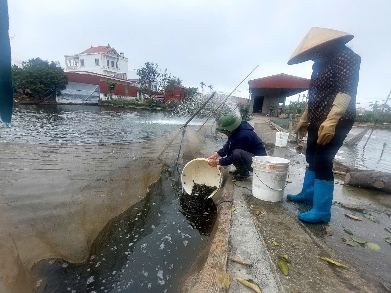 Nông dân Hải Phòng tu sửa ao nuôi,  chuẩn bị con giống cho vụ nuôi trồng thủy sản mới - Ảnh 3.