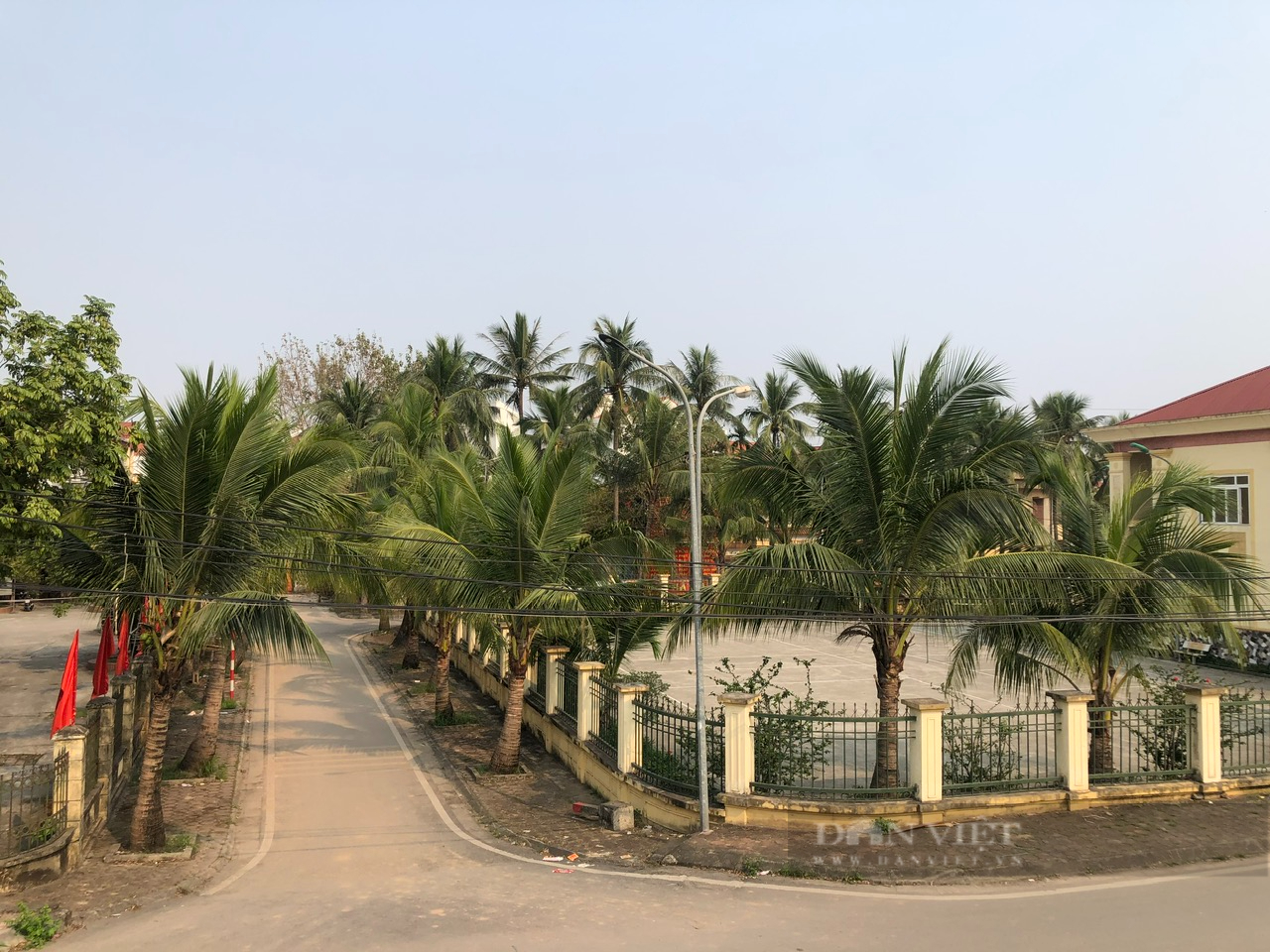 Ngôi làng từng được chọn làm bối cảnh cho nhiều bộ phim nổi tiếng vì trồng một loại cây mà Hà Nội ít có - Ảnh 4.