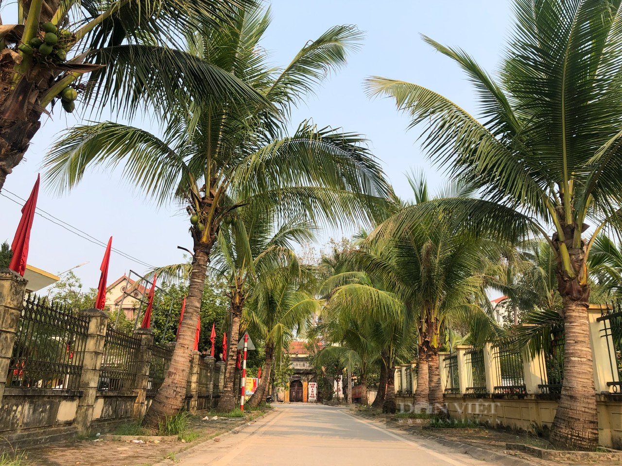 Ngôi làng từng được chọn làm bối cảnh cho nhiều bộ phim nổi tiếng vì trồng một loại cây mà Hà Nội ít có - Ảnh 2.