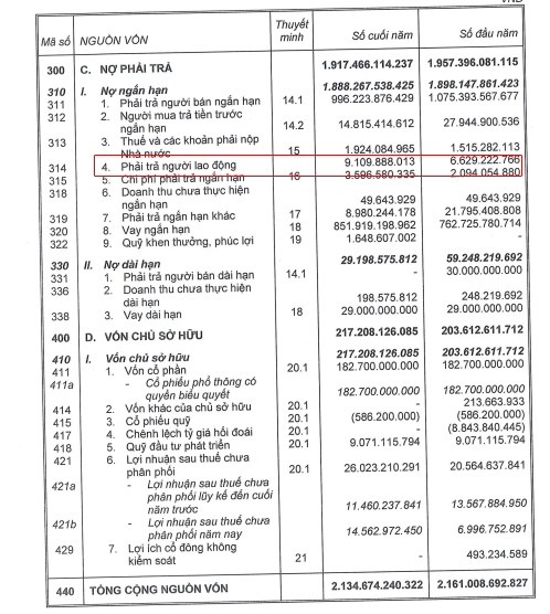 CDP: Nợ người lao động hàng chục tỷ đồng, cầm cố vốn góp công ty doanh nghiệp ngoài ngành - Ảnh 1.