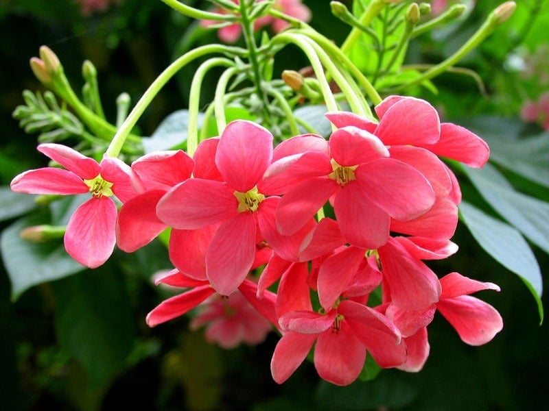 Người sinh vào 5 ngày Âm lịch này, phúc lộc vàng mười, nửa đời sau giàu có, dư dả - Ảnh 3.