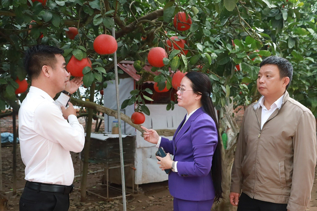 Vốn trao tay, nhiều mô hình hay ra đời - Ảnh 1.