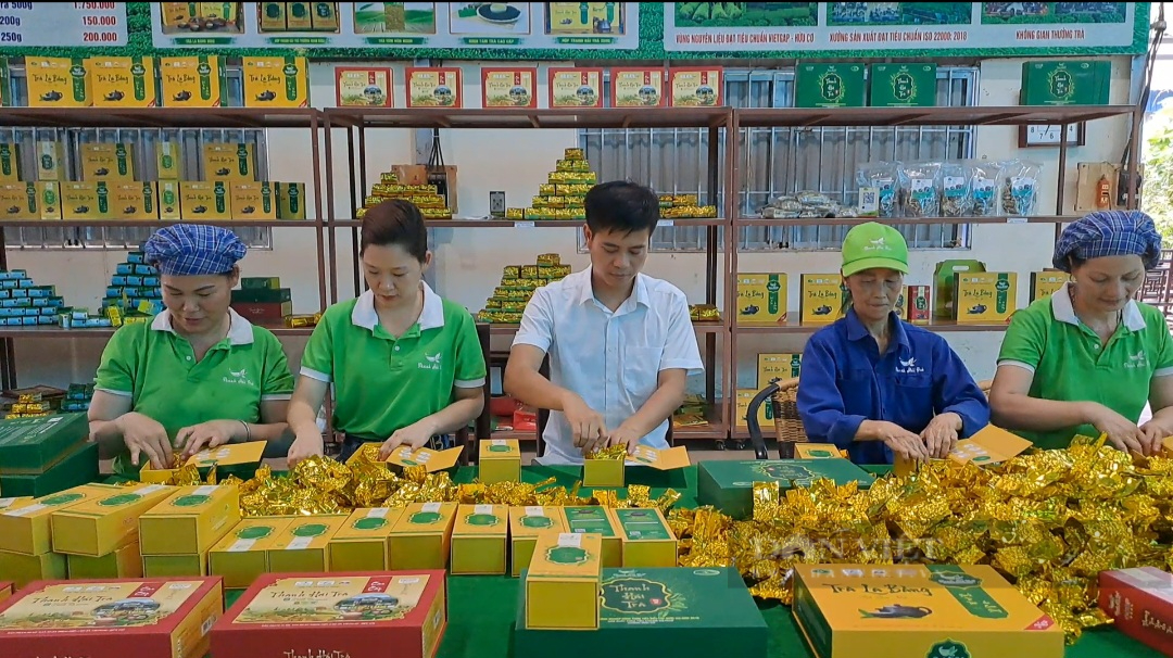 Thái Nguyên ứng dụng công nghệ số trong sản xuất, kinh doanh chè, thúc đẩy tiêu thụ sản phẩm - Ảnh 4.