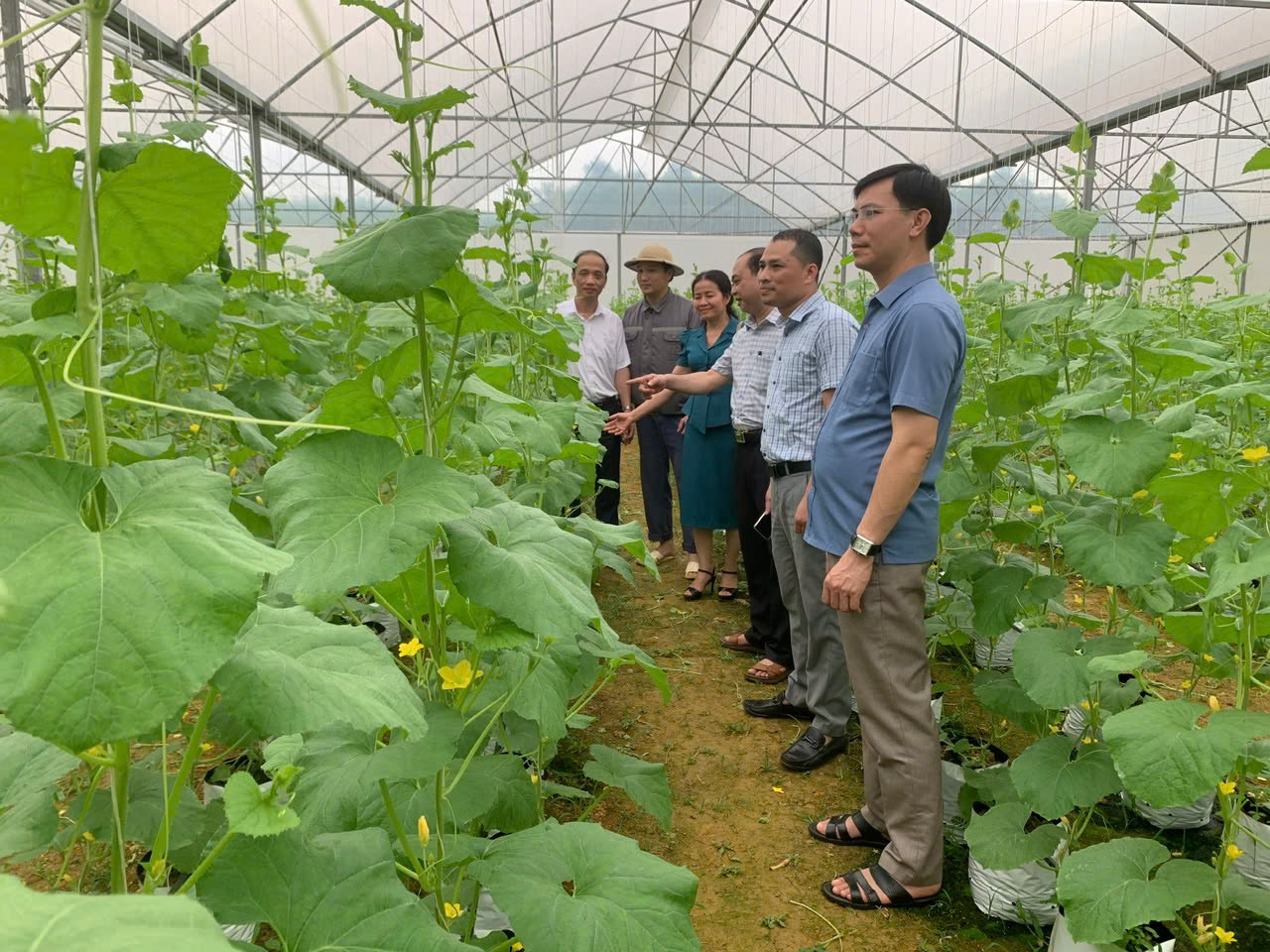 Hội Nông dân Thanh Hóa đồng hành cùng nông dân trong ứng dụng chuyển đổi số - Ảnh 3.