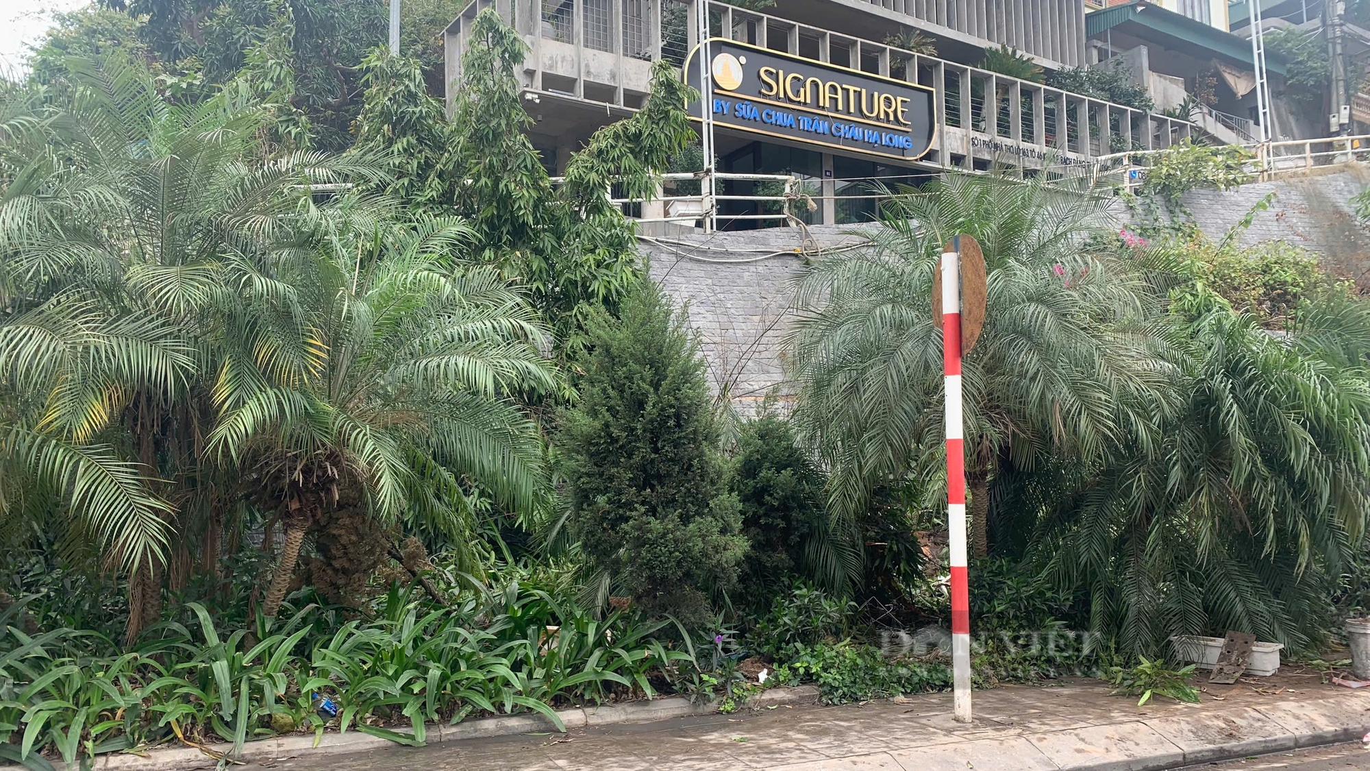 Máy xúc mất phanh tụt dốc, tài xế tử vong tại chỗ - Ảnh 1.