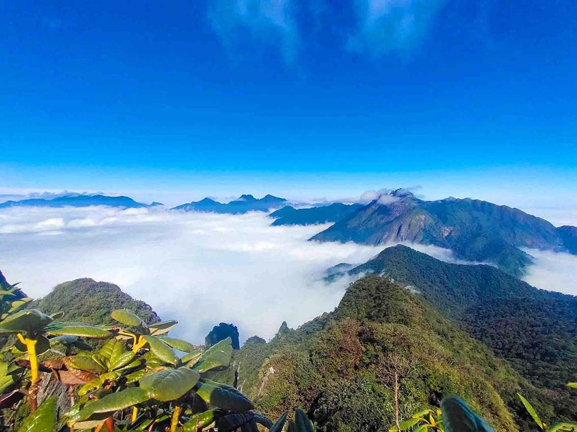 Top cung đường trekking mùa xuân tại miền Bắc dành cho những người đam mê du lịch mạo hiểm - Ảnh 3.