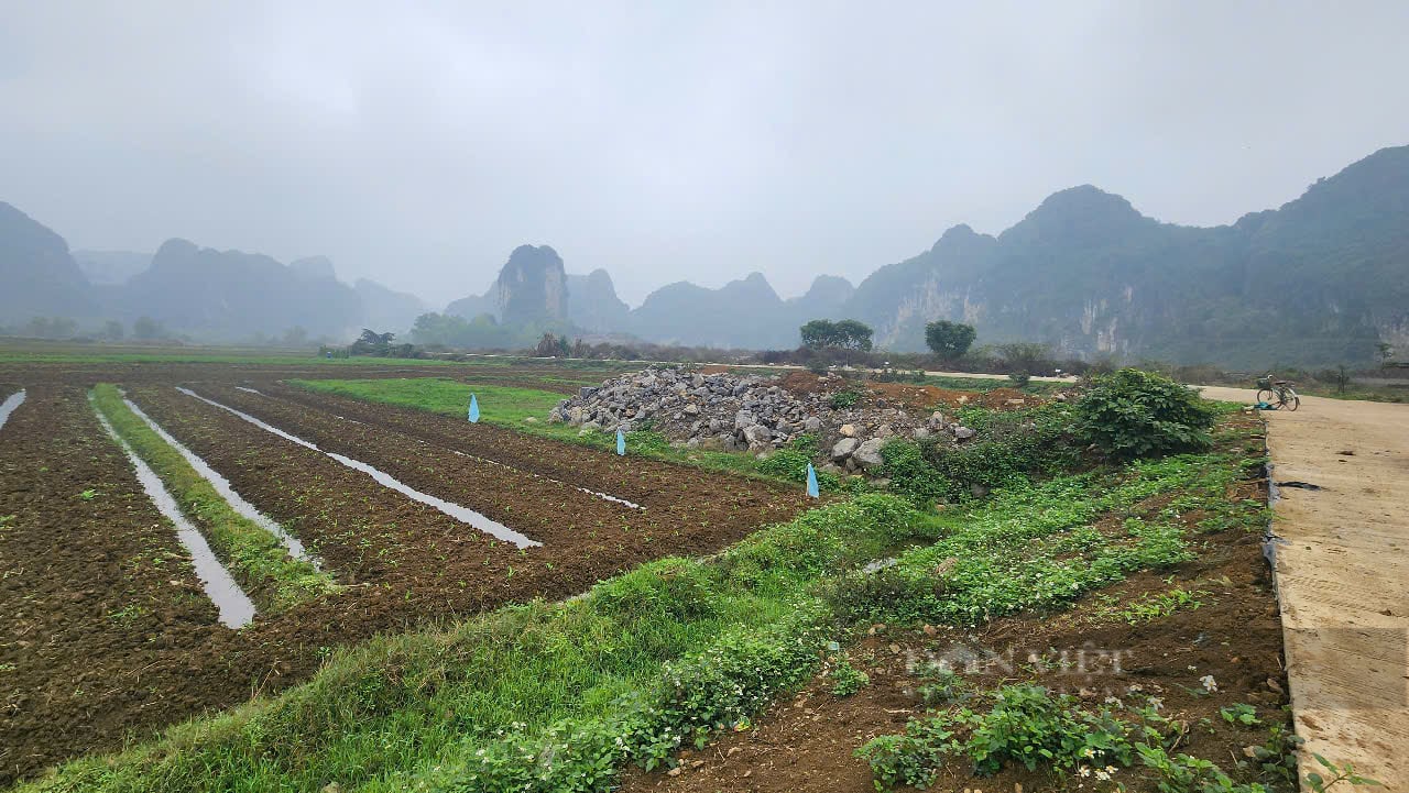 Nhiều sai phạm về cấp sổ đỏ tại huyện Yên Thủy (Hòa Bình) - Ảnh 3.