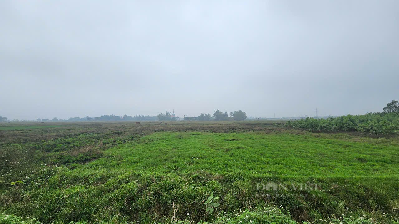 Nhiều sai phạm về cấp sổ đỏ tại huyện Yên Thủy (Hòa Bình) - Ảnh 4.
