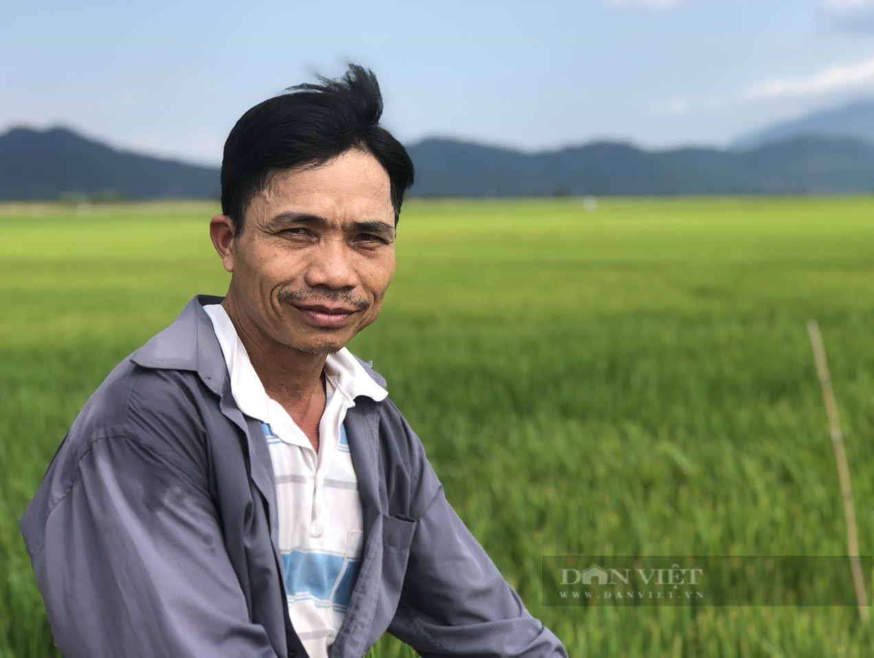 Một xã miền núi Bình Thuận có những cánh đồng mẫu lớn, người dân chung tay làm "hạt ngọc" trời cho  - Ảnh 5.
