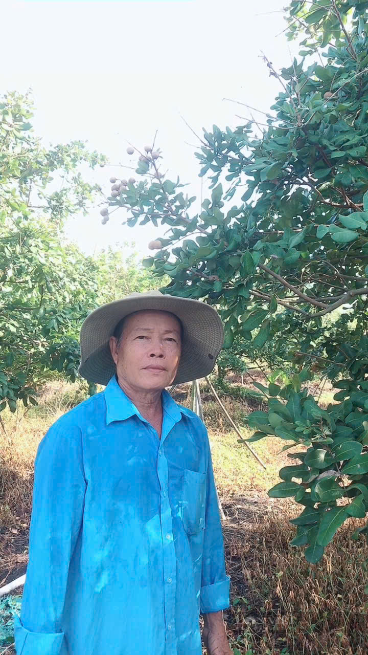 Nông dân Long An, làm giàu trên vùng đất nhiễm phèn nặng - Ảnh 3.
