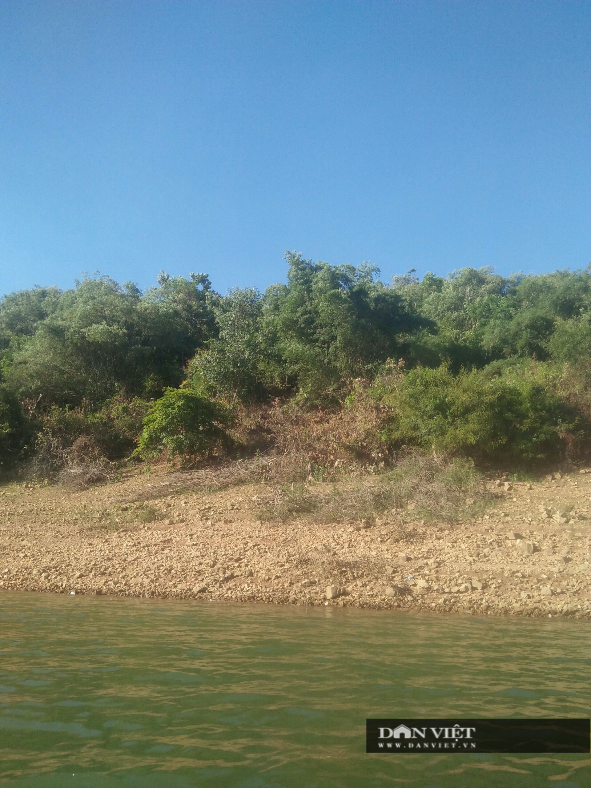 "Thâu tóm" hơn 138ha đất rừng phòng hộ, nguyên Bí thư huyện ở Bình Định lĩnh án 3 năm tù giam- Ảnh 2.
