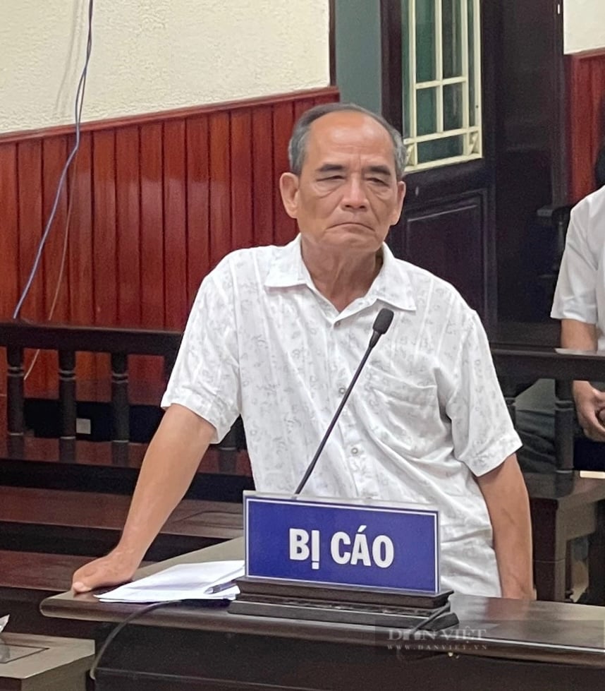 "Thâu tóm" hơn 138ha đất rừng phòng hộ, nguyên Bí thư huyện ở Bình Định lĩnh án 3 năm tù giam- Ảnh 1.