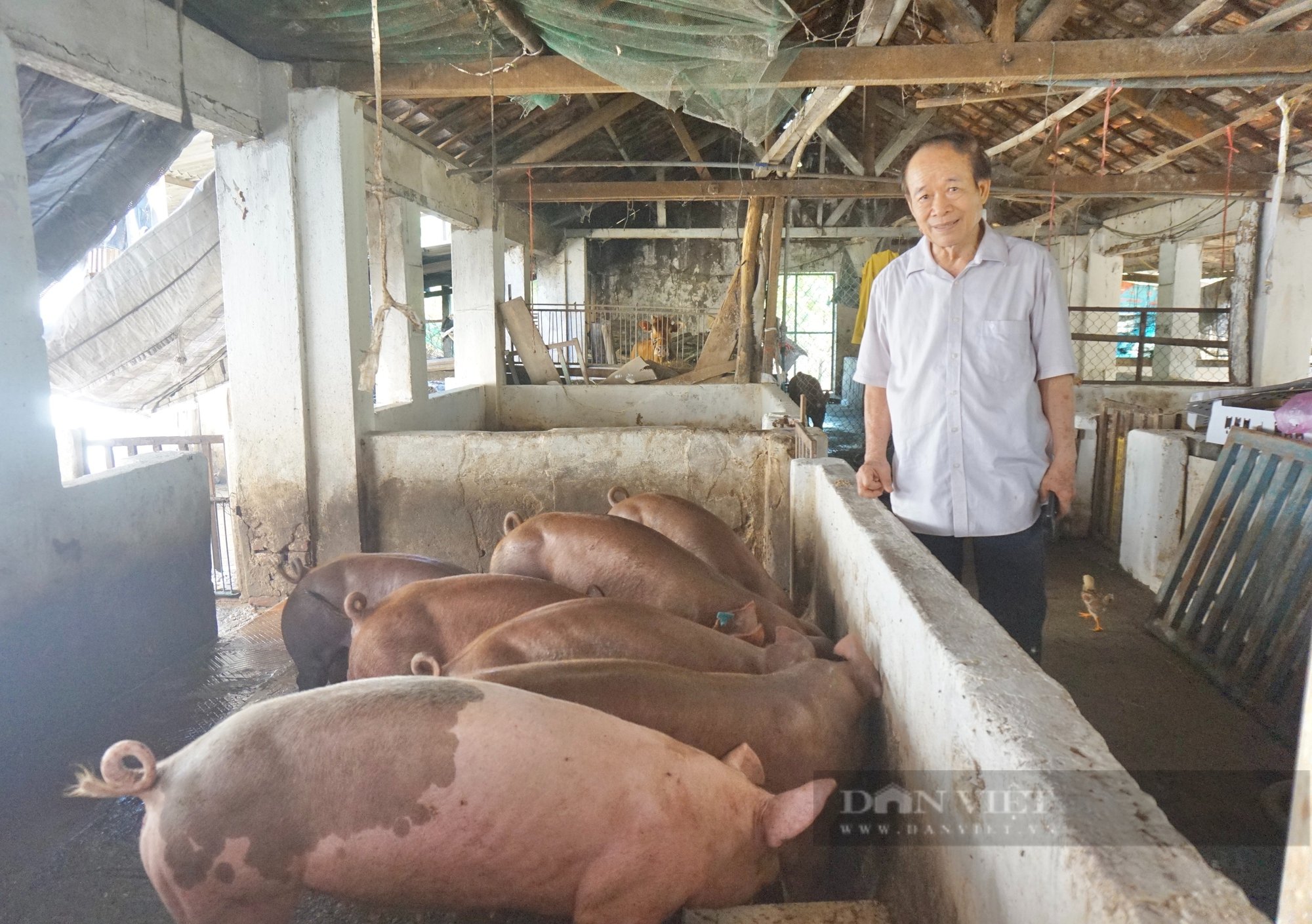 Quyết định 517 của Thủ tướng mở ra cơ hội cho nông dân nâng cao năng lực sản xuất, tăng khả năng cạnh tranh - Ảnh 1.