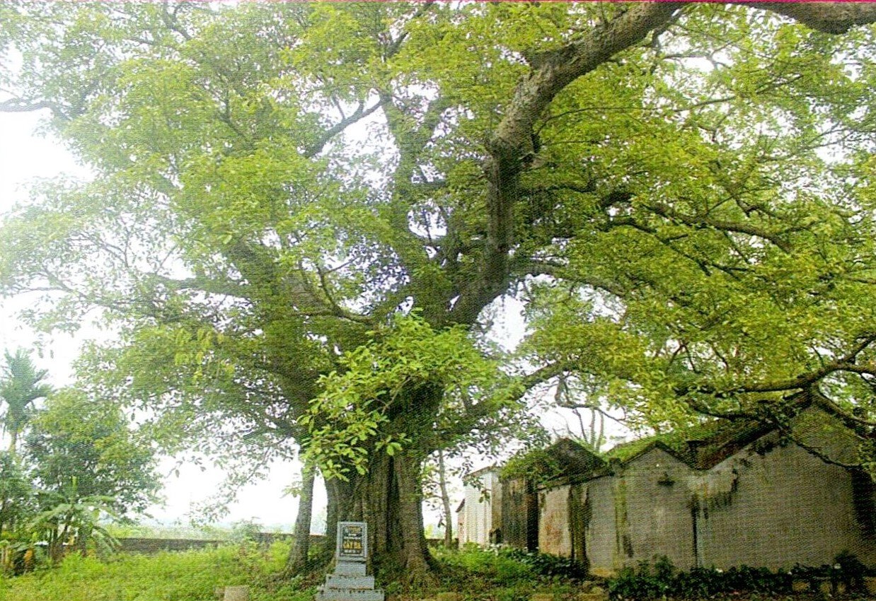 Nông thôn mới Tân Hoà - Nơi miền quên đáng sống (bài 1) - Ảnh 1.