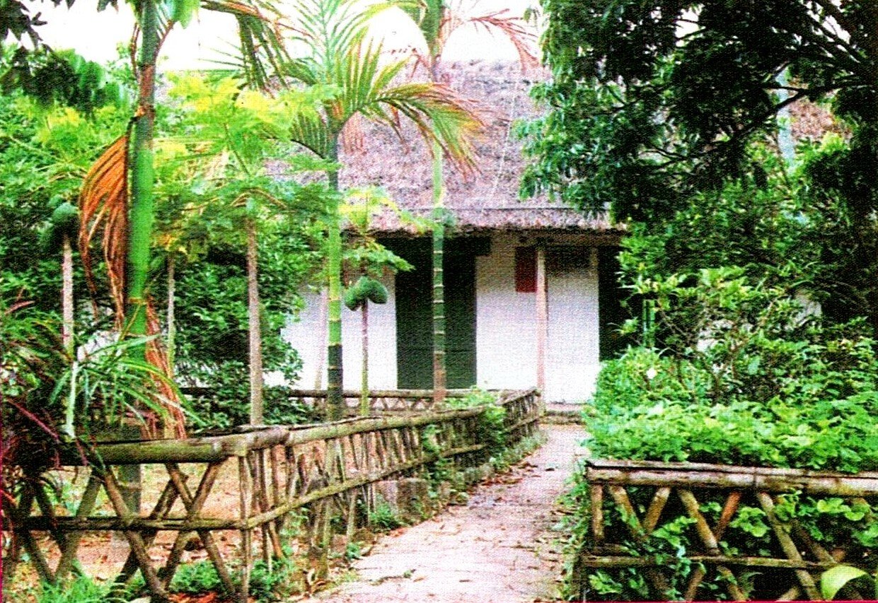 Nông thôn mới Tân Hoà - Nơi miền quên đáng sống (bài 1) - Ảnh 4.