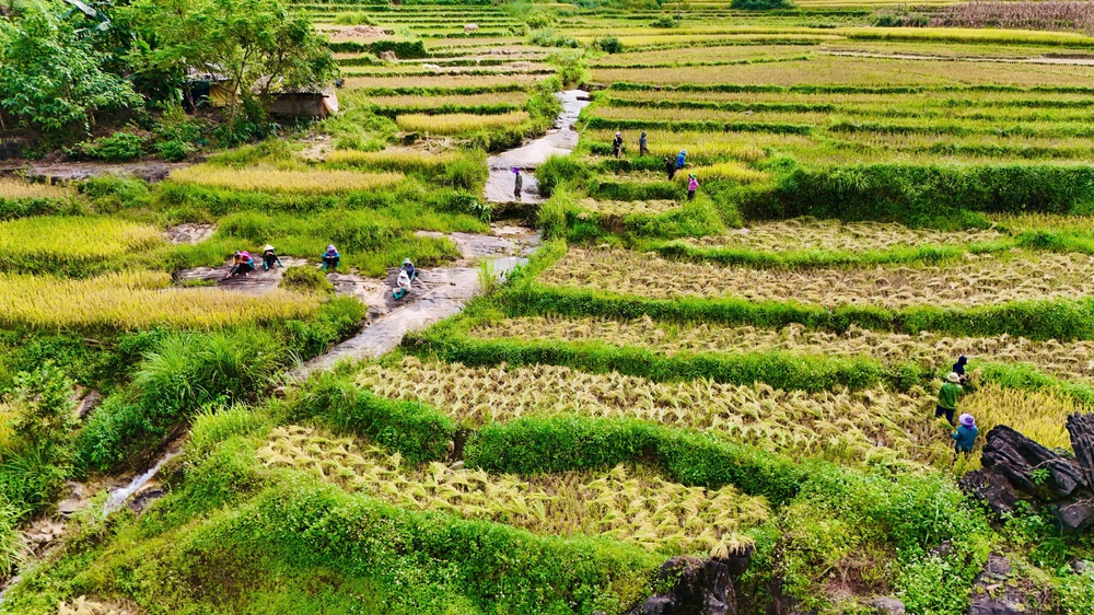 Người đánh thức du lịch cao nguyên trắng Bắc Hà - Ảnh 16.