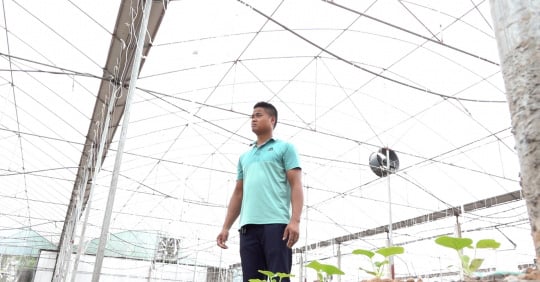 Chuyện về chàng cửu vạn thành tỷ phú dưa lưới