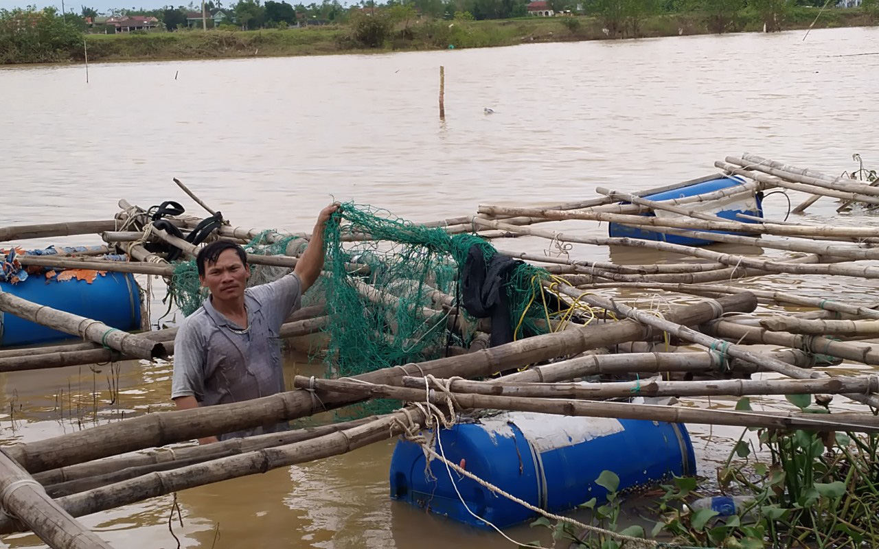 Mưa lũ, mất trắng vườn cây, ao tôm, chưa biết sẽ sống sao...