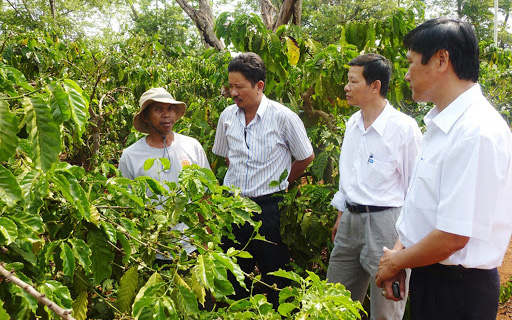 Bí quyết gì giúp doanh nghiệp này xuất khẩu cà phê sang Nhật Bản đều đều, giá cao ngất?