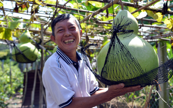 Ông nông dân Tây Ninh biến những quả bầu hồ lô thành đồ vật vừa lạ vừa quen khiến bao người trầm trồ 