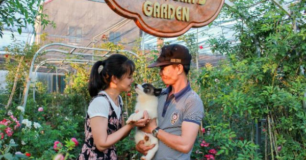 Vườn hồng 400 loài đẹp ngẩn ngơ của kỹ sư bỏ phố về núi