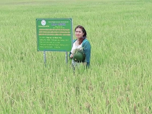 TGĐ Bùi Thị Hạnh Hiếu: “Trước sau, chúng tôi đồng hành, chung thủy với người tiêu dùng, nông dân”