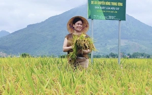 Bảo Minh muốn nắm chắc tay nông dân khi bước ra thế giới