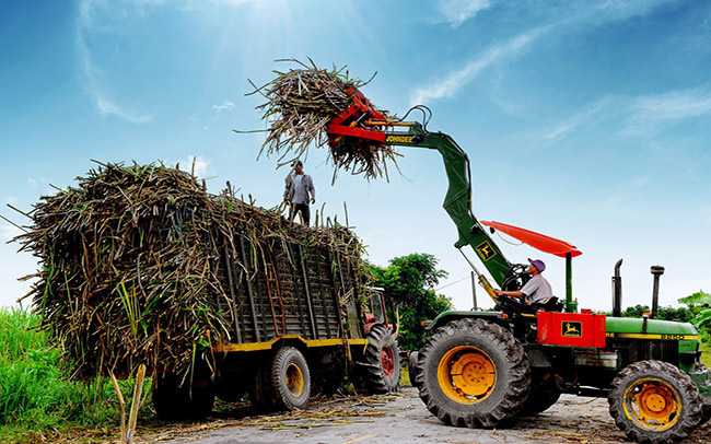 Muốn miễn trừ biện pháp chống bán phá giá đường Thái Lan, doanh nghiệp cần làm gì?