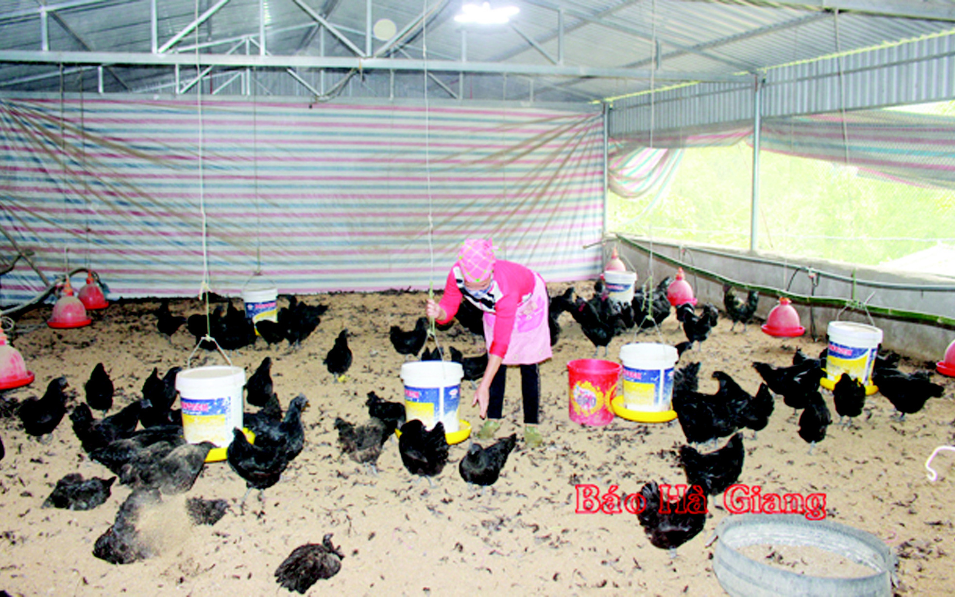 Lũng Cú: Làm du lịch homestay, bỏ túi 15-20 triệu đồng mỗi tháng