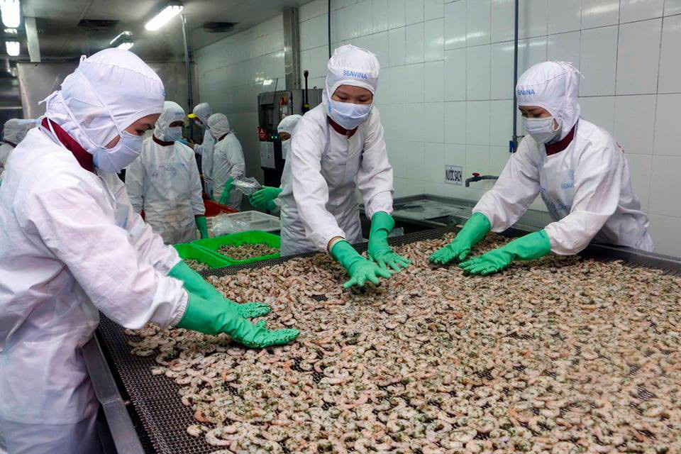 Xuất khẩu tôm sang EU kỳ vọng tăng trưởng nhờ hiệp định EVFTA