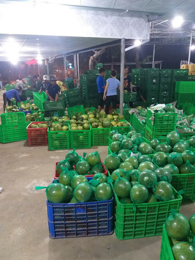 Bưởi Tết rớt giá