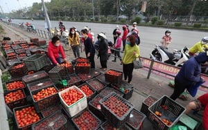 Hỗ trợ tiêu thụ nông sản trong dịch Covid-19: Sửa quy định để lưu thông hàng hóa