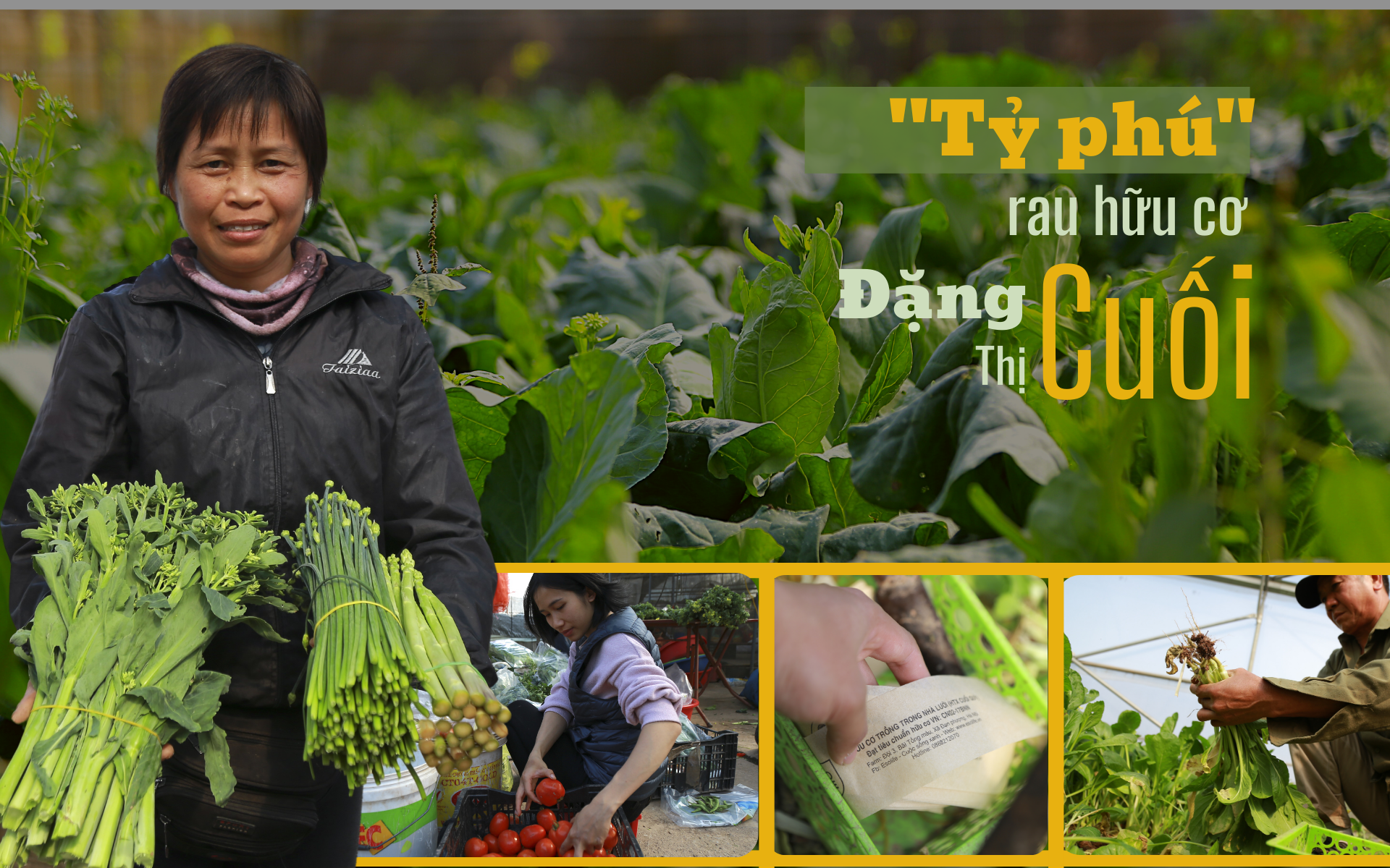 Tỷ phú nông dân trồng rau hữu cơ kiểu độc lạ, khiến thiên hạ &quot;lác mắt&quot;, có giống rau tên nghe phát phì cười