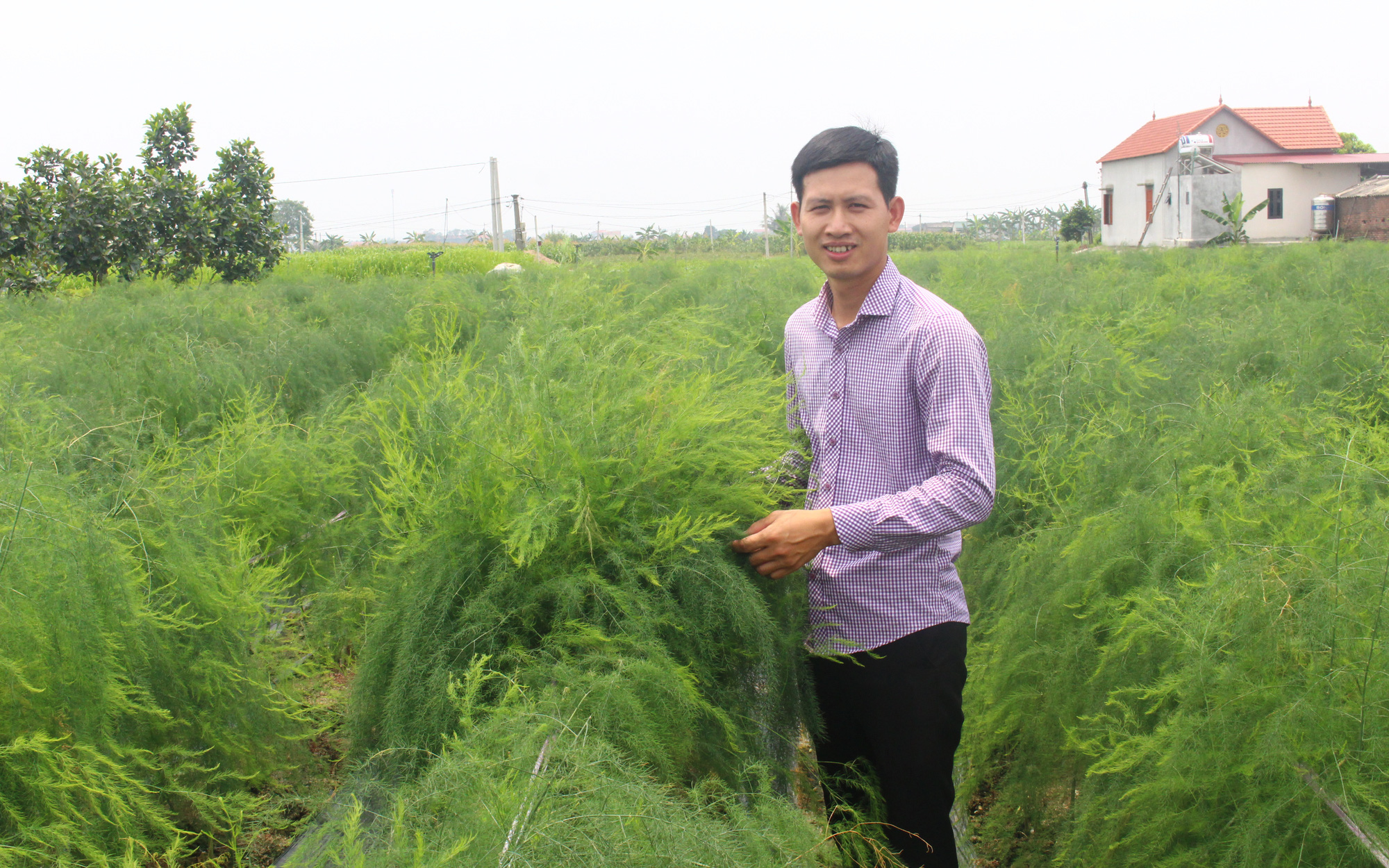 Bắc Ninh: Trồng &quot;rau vua&quot;, mít Thái, thả trai nhả ngọc dưới ao, chàng nông dân trẻ giàu nhanh