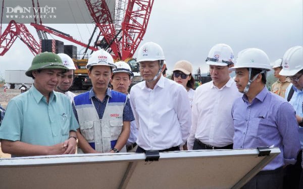 Quảng Trị: “Hét” giá đền bù 11 tỷ đồng/ha đất nông nghiệp tại dự án điện gió?