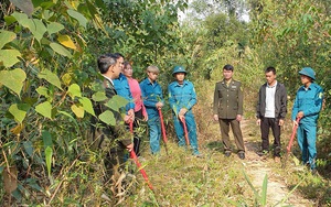 Hạt Kiểm lâm Mộc Châu: Làm tốt công tác bảo vệ và trồng rừng