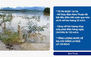 Bình Thuận: Mưa lũ khiến hơn 1.200 ha đất nông nghiệp bị ngập úng, thiệt hại hàng chục tỷ đồng