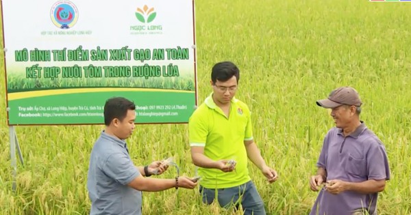 Chàng trai 9x có bằng đại học và cao học về làng khởi nghiệp giúp nông dân