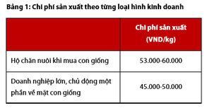 Giá heo hơi hồi phục trong quý IV, lợi nhuận của Dabaco có khởi sắc?