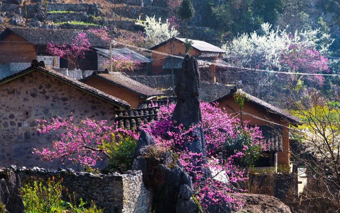 Du lịch “xứ sở ngàn mây” Sapa mùa nào đẹp nhất