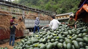 Hàng vào Trung Quốc ngày càng khó