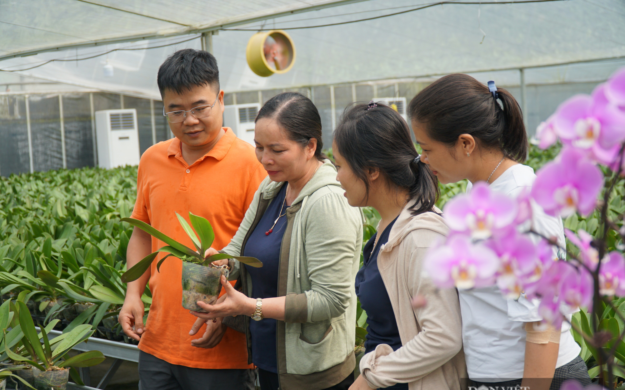 Khuyến nông đô thị: Diện tích nhỏ vẫn thu tiền tỷ nhờ áp dụng những điều này