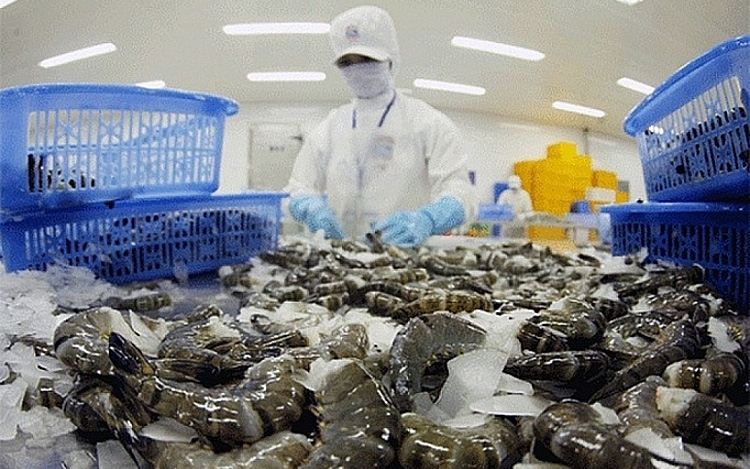 Xuất khẩu tôm năm 2021 dự kiến cán đích 3,9 tỷ USD
