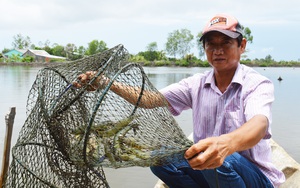  Cà Mau: Gần Tết mà đơn hàng thưa thớt, nông dân, hợp tác xã được hỗ trợ đưa nông sản lên... sàn 