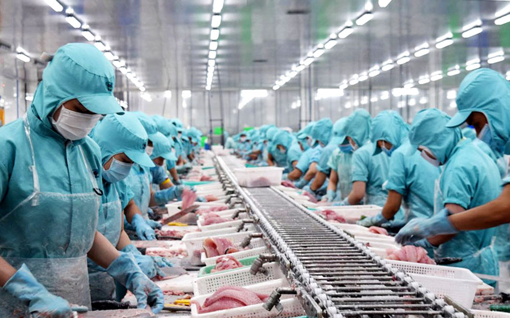 Cập nhật danh sách 691 doanh nghiệp thủy sản Việt Nam được phép xuất khẩu sang Đài Loan