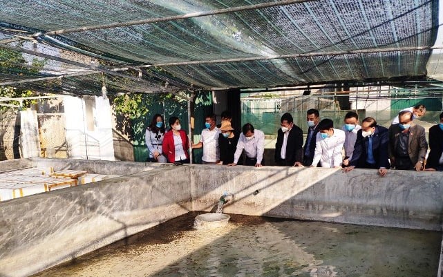 Thanh Hóa: Hỗ trợ nông dân phát triển nông nghiệp an toàn, nông nghiệp hữu cơ