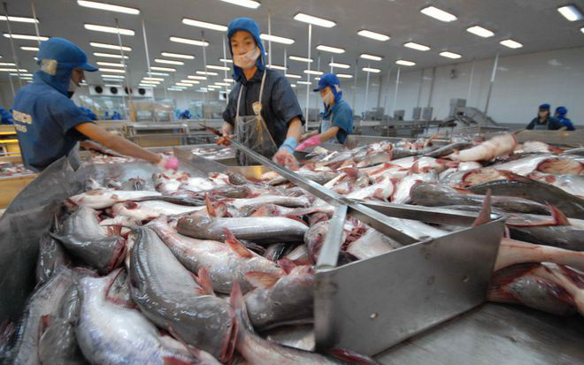 Lệnh 248 và 249 của Trung Quốc có &quot;làm khó&quot; doanh nghiệp xuất khẩu thủy sản Việt Nam?