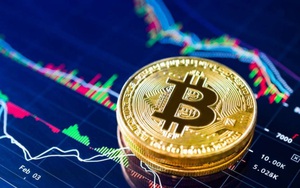 Nhìn lại tuần &quot;sốc giá&quot; của bitcoin và loạt đồng tiền điện tử tuần qua: vì đâu nên nỗi?