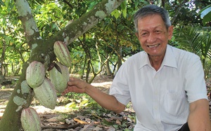 Tiền Giang: Ông Lâu và bà Đẹp làm giàu từ trồng ca cao xen vườn dừa và bán bông tai để mua... vịt đẻ